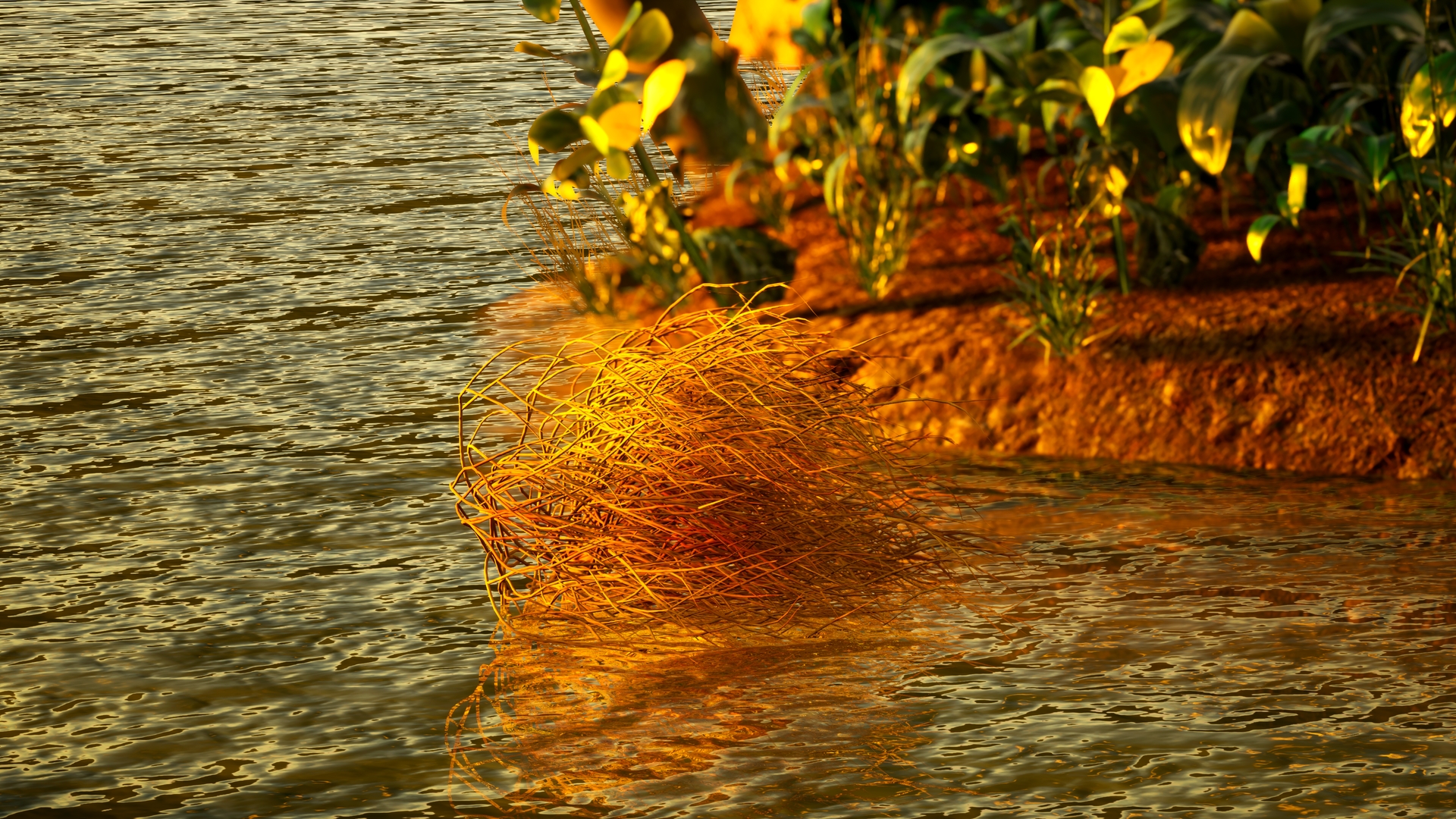 Tumbling Tumbleweed